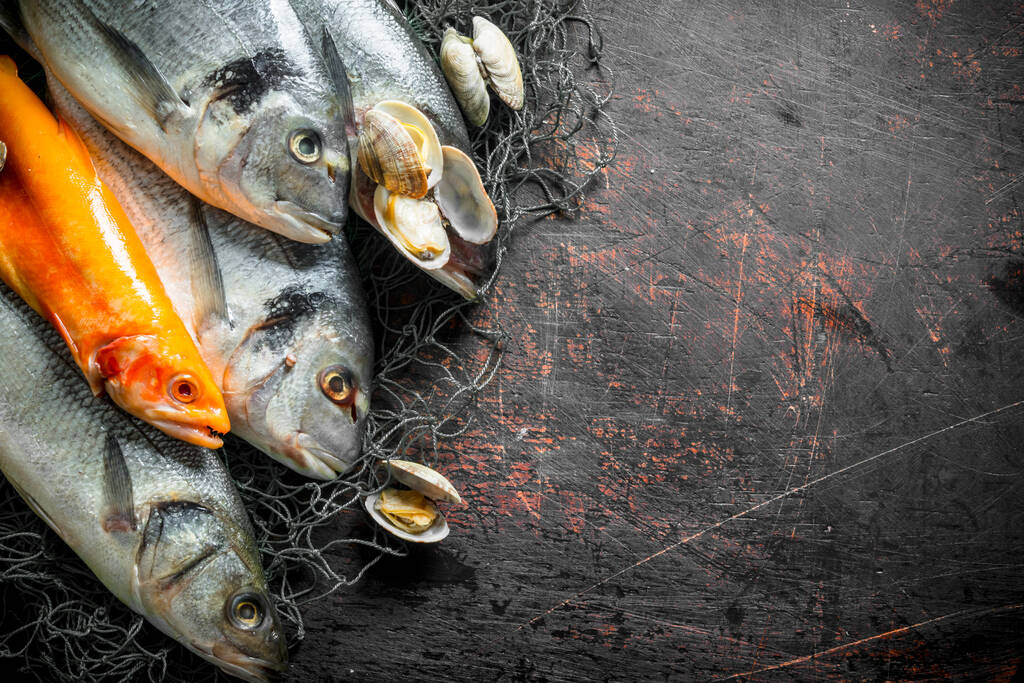 Különböző nyers hal halászháló az osztriga. A sötét rusztikus háttér - Fotó, kép