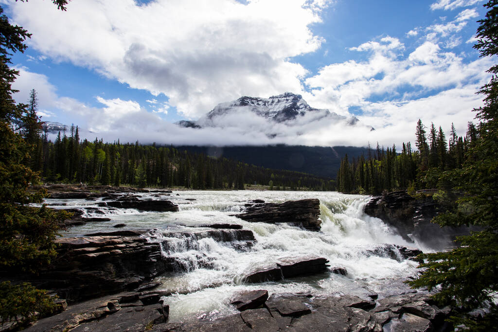 Summer in Athabasca Falls, Jasper National Park, in Canada. - Photo, Image