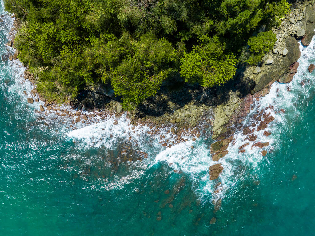 Photo aérienne de drone de haut en bas du paysage marin tropical et de la plage de sable avec des eaux claires turquoise et des pins - Photo, image