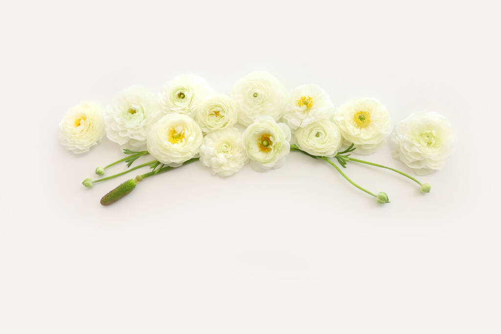 Horní pohled obrázek složení bílých květin - Fotografie, Obrázek