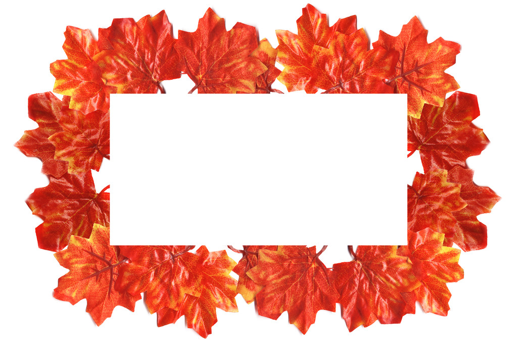 Hojas brillantes de otoño sobre un marco aislado forrado de fondo
 - Foto, imagen