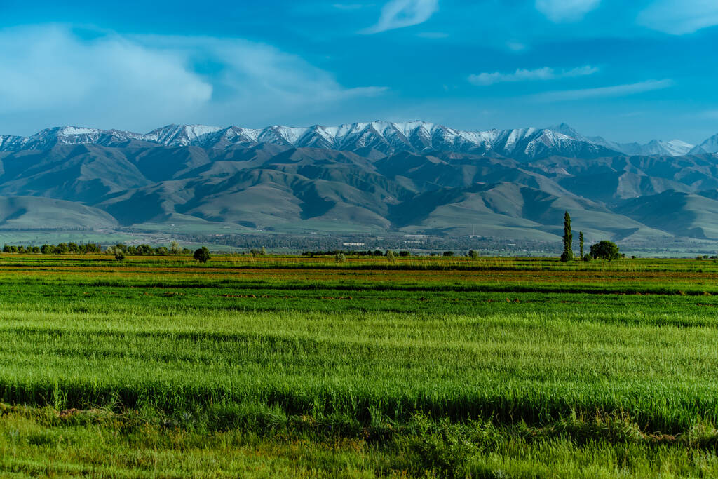 Scenic spring landscape with green field on mountains background, Kyrgyzstan - Photo, Image