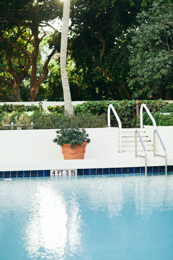 complejo hotelero de lujo, piscina al aire libre con agua azul brillante y escalera de piscina metálica con pasamanos de acero inoxidable junto a la planta en maceta, fondo borroso, vacaciones y concepto de vacaciones  - Foto, imagen