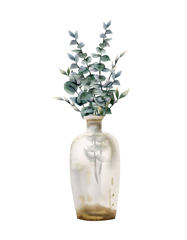 Akvarel zelený eukalyptus větve ve ve skleněné láhvi vázy. Ručně kreslené realistické ilustrace izolované na bílém pozadí. - Fotografie, Obrázek