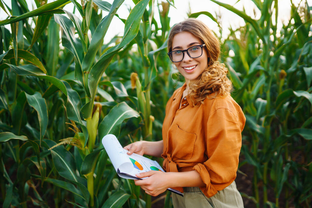 Farmerka stoi na polu i sprawdza zieloną plantację kukurydzy. Przemysł rolny. Koncepcja pielęgnacji zbiorów. - Zdjęcie, obraz