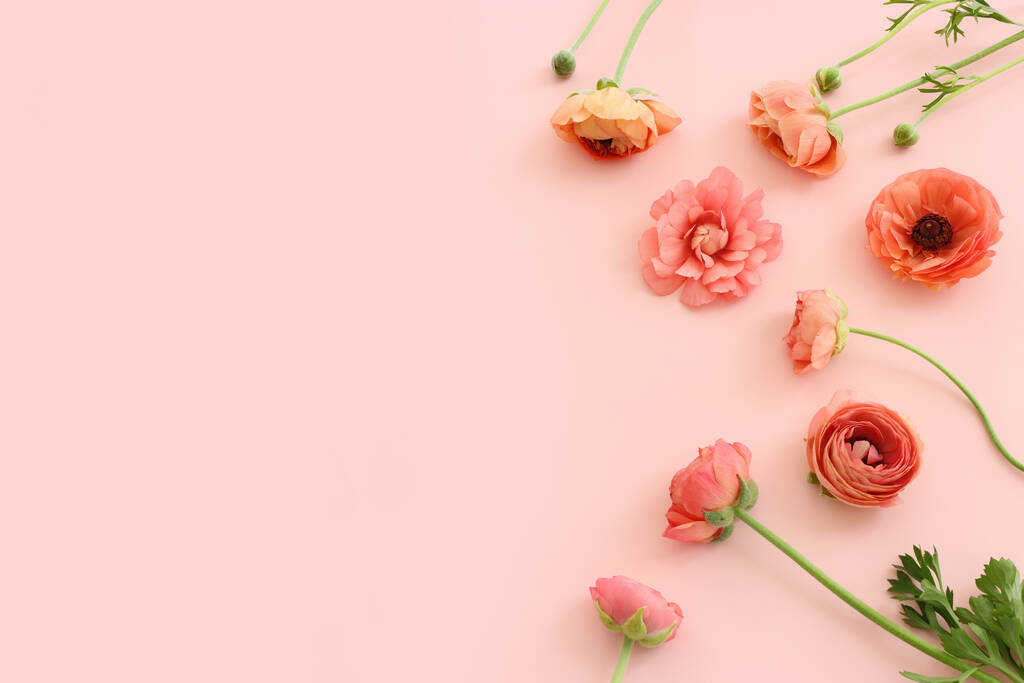 Top view image of pink flowers composition over pastel background - Foto, afbeelding