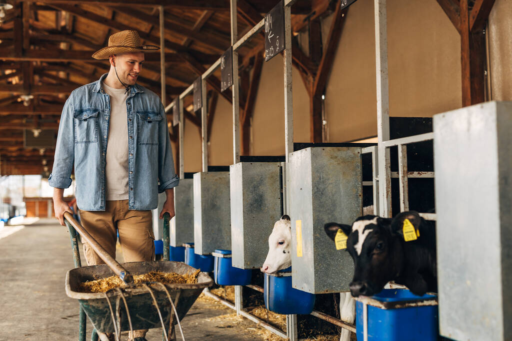 Vue de face d'un homme heureux apportant du foin pour les vaches. - Photo, image