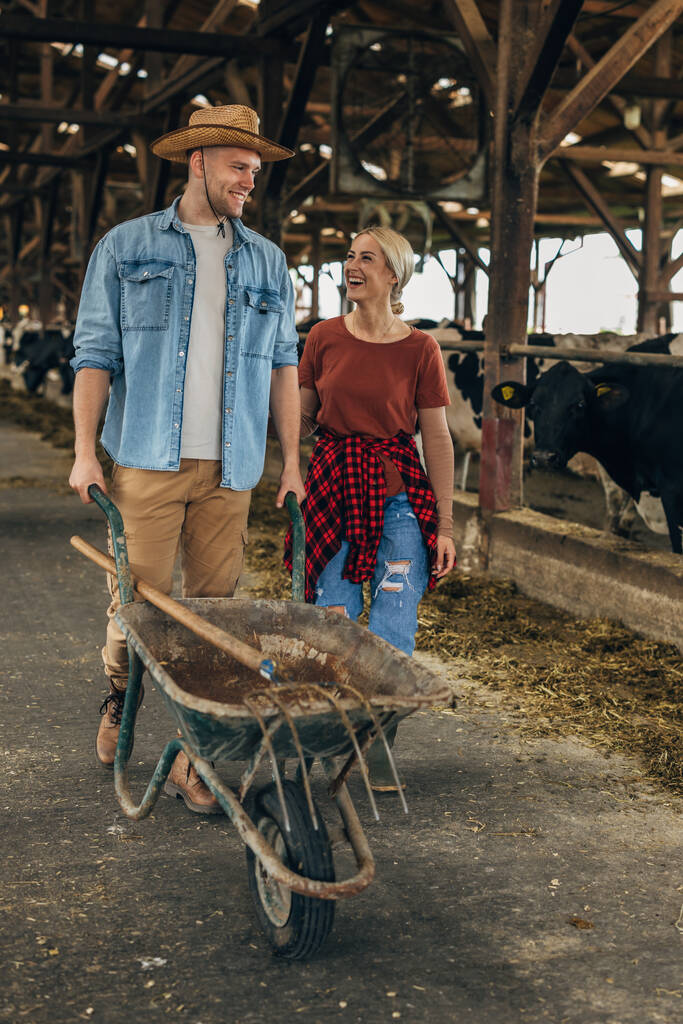 Ein Mann und eine Frau arbeiten gemeinsam in einer Tierfarm. - Foto, Bild