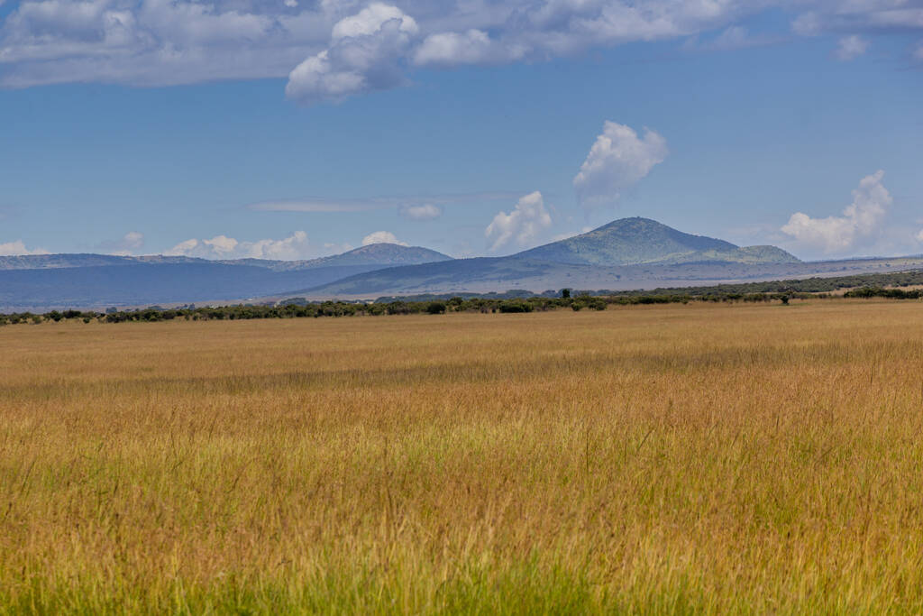 Landschap van Masai Mara National Reserve, Kenia - Foto, afbeelding