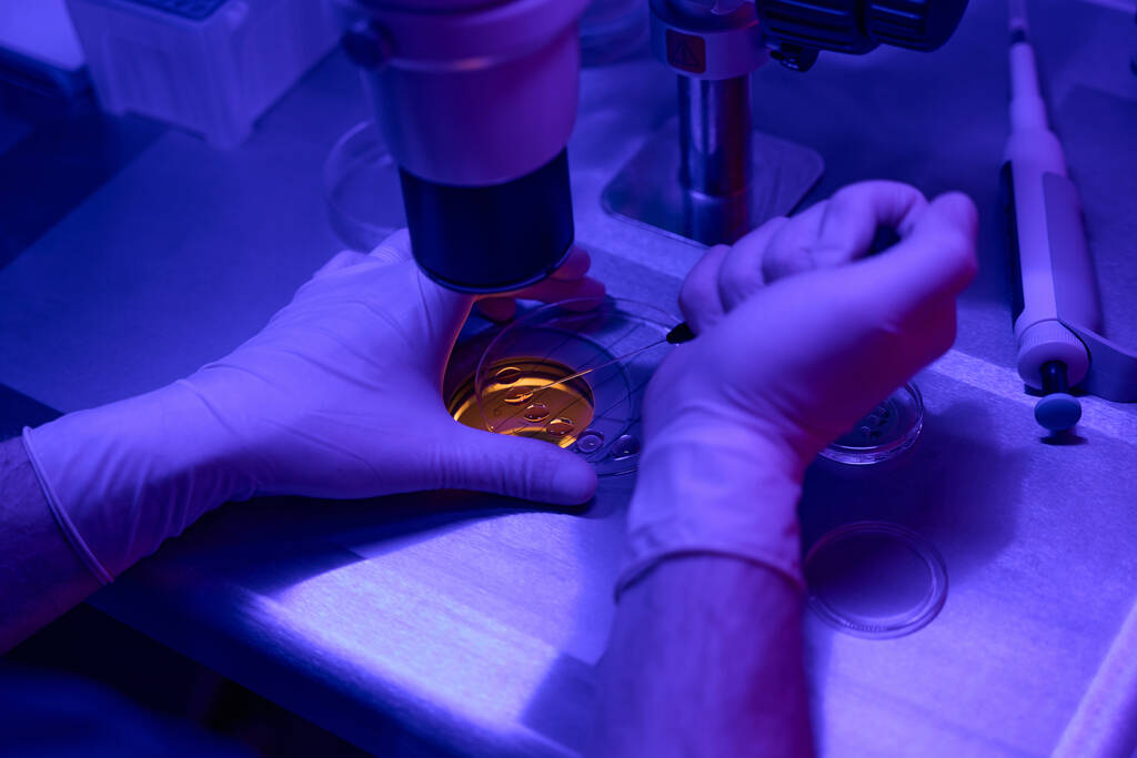 Männliche Arbeiterhände bei der Biopsie von Embryonen in der Zellkulturschale, die im Mikroskop betrachtet werden, um Missbildungen zukünftiger Kinder auszuschließen - Foto, Bild