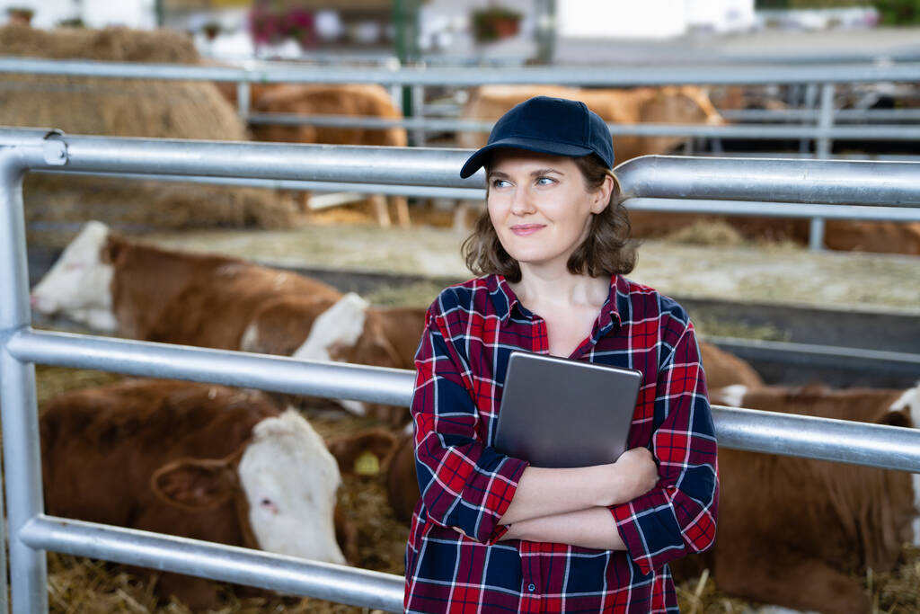 Vrouwelijke boer met tabletcomputer inspecteert koeien op een melkveebedrijf. Beheer van de dieren.. - Foto, afbeelding