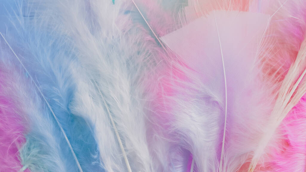 ピンクの羽根のウール柄の質感の背景 - 写真・画像