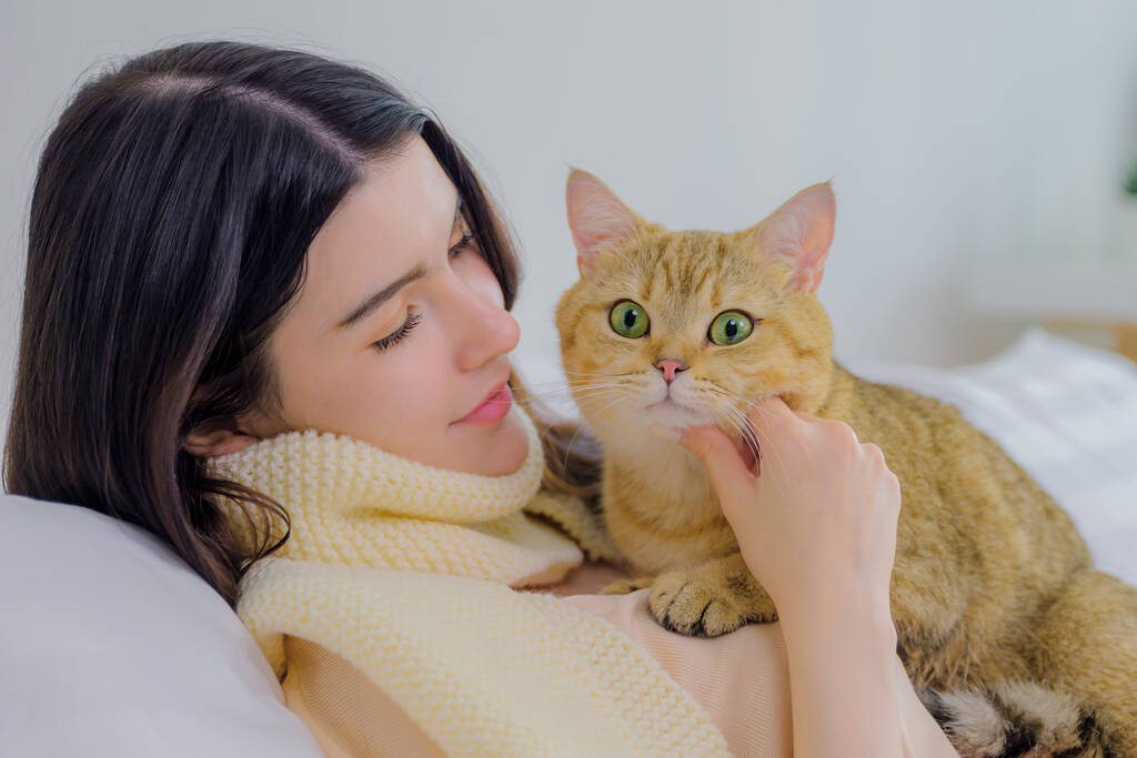  beautiful young asian woman cherishes a playful moment with her adorable cat on a cozy bed, bathed in bright morning light filtering through white window curtains - Photo, Image