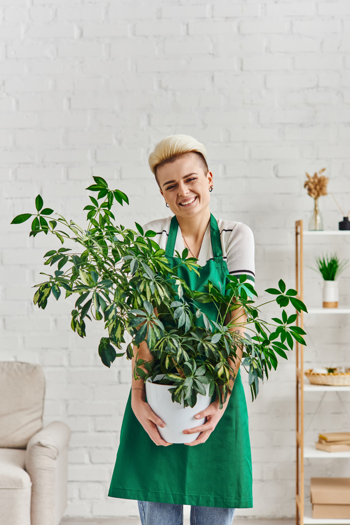 стильная и очень радостная женщина в зеленом фартуке, стоящая в современной гостиной с растением из натуральной листвы, экологически чистые привычки, устойчивый домашний декор и зеленая концепция жизни - Фото, изображение