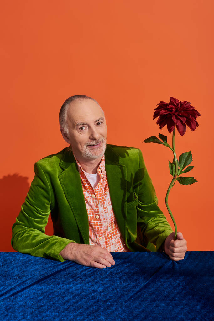 pozytywny i modny starszy mężczyzna w zielonym aksamitnym blezerze trzymający czerwony kwiat piwonii, siedzący przy stole z niebieskim welurowym materiałem i uśmiechnięty do kamery na żywym pomarańczowym tle, koncepcja szczęśliwego starzenia się - Zdjęcie, obraz