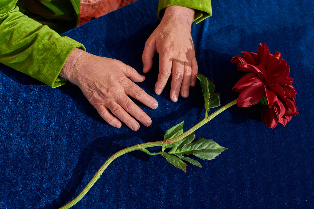 částečný pohled na postarší muže s vrásčitýma rukama sedícího poblíž červené a čerstvé pivoňkové květiny se zelenými listy na stole s modrou sametovou látkou, seniorský model, stárnoucí populační koncept, pohled shora - Fotografie, Obrázek