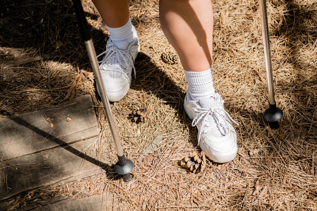 Ausgeschnittene Ansicht einer jungen Wanderin in Turnschuhen, die neben Wanderstöcken und Tannenzapfen auf dem Boden im Sommerwald steht, Wandern für Gesundheits- und Wellness-Konzept  - Foto, Bild
