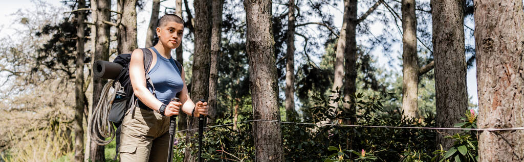 Turista femenina de pelo corto con mochila y equipo de viaje que sostiene postes de trekking y mira a la cámara mientras está de pie en el bosque de verano, senderismo para el concepto de salud y bienestar, pancarta  - Foto, Imagen