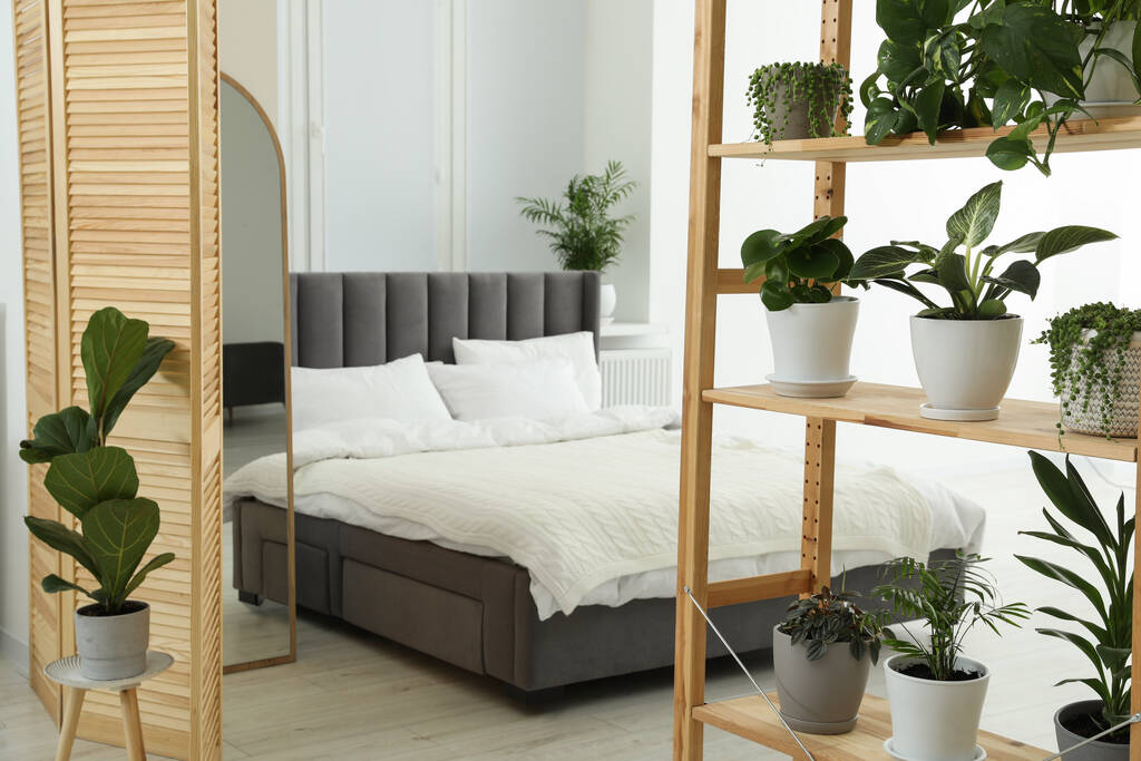 Stilvolles Zimmer mit verschiedenen grünen Topfpflanzen auf Regal und bequemem Bett - Foto, Bild