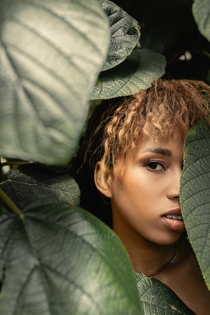 Portrait of young and trendy african american woman with makeup looking at camera while standing behind green foliage in greenhouse, fashion-forward lady in tropical oasis - Photo, Image