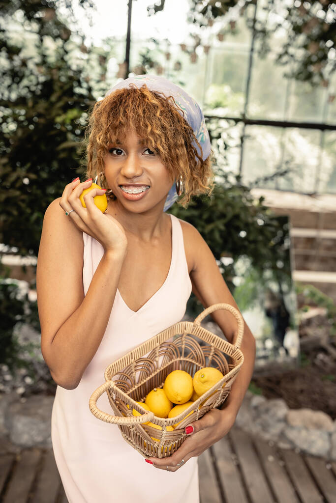 Sonriente joven afroamericana mujer con frenos celebración cesta con limones frescos y posando en vestido de verano y de pie en la naranjería, señora elegante mezcla de moda y naturaleza, concepto de verano - Foto, Imagen