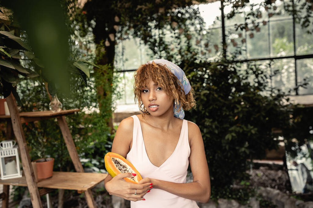 Mujer afroamericana joven de moda en pañuelo para la cabeza y vestido de verano sosteniendo papaya fresca y mirando a la cámara mientras pasa tiempo en la naranjería, señora elegante mezcla de moda y naturaleza - Foto, Imagen
