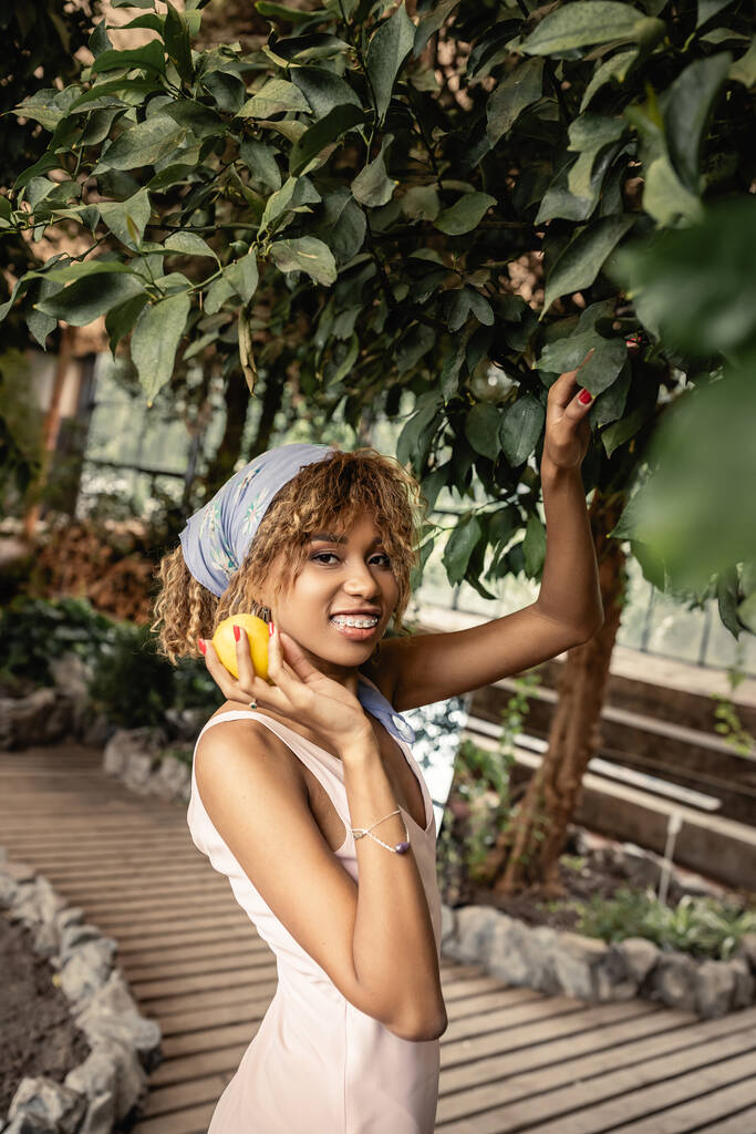 Portrait of young and cheerful african american woman with braces wearing summer outfit and holding fresh lemon near tree in blurred indoor garden, stylish woman with tropical plants at backdrop - Photo, Image