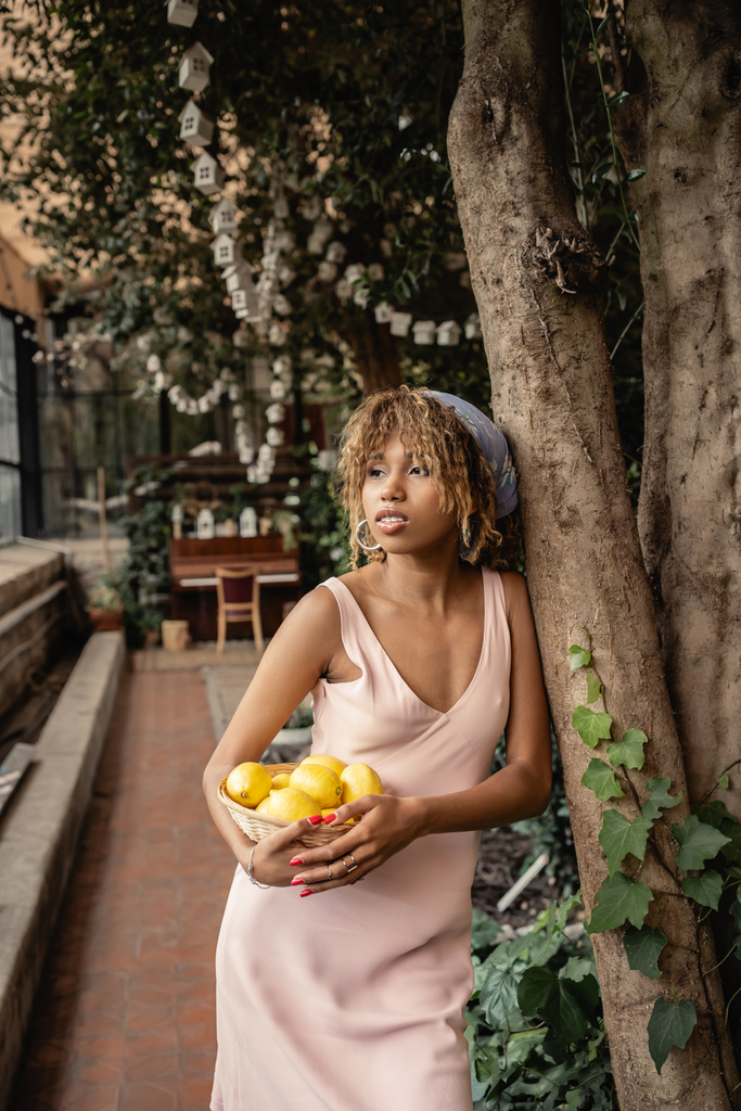 Mujer afroamericana joven de moda en pañuelo para la cabeza y vestido de verano que sostiene la cesta con limones frescos mientras está de pie cerca de los árboles en la naranjería, mujer elegante con plantas tropicales en el telón de fondo - Foto, Imagen