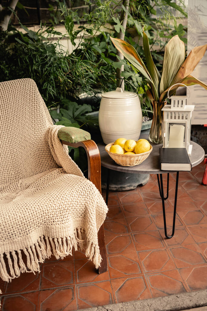 Свіжі лимони і книга на столі біля крісла і зелені рослини на фоні в критому саду, вітамін С, кисла їжа, фрукти всередині критого саду, літня концепція - Фото, зображення