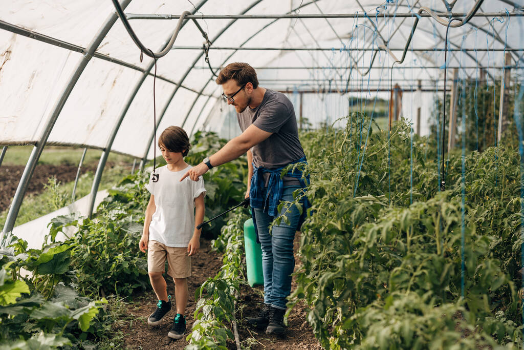 Padre enseña a su hijo sobre el cuidado de las verduras en el invernadero. - Foto, Imagen