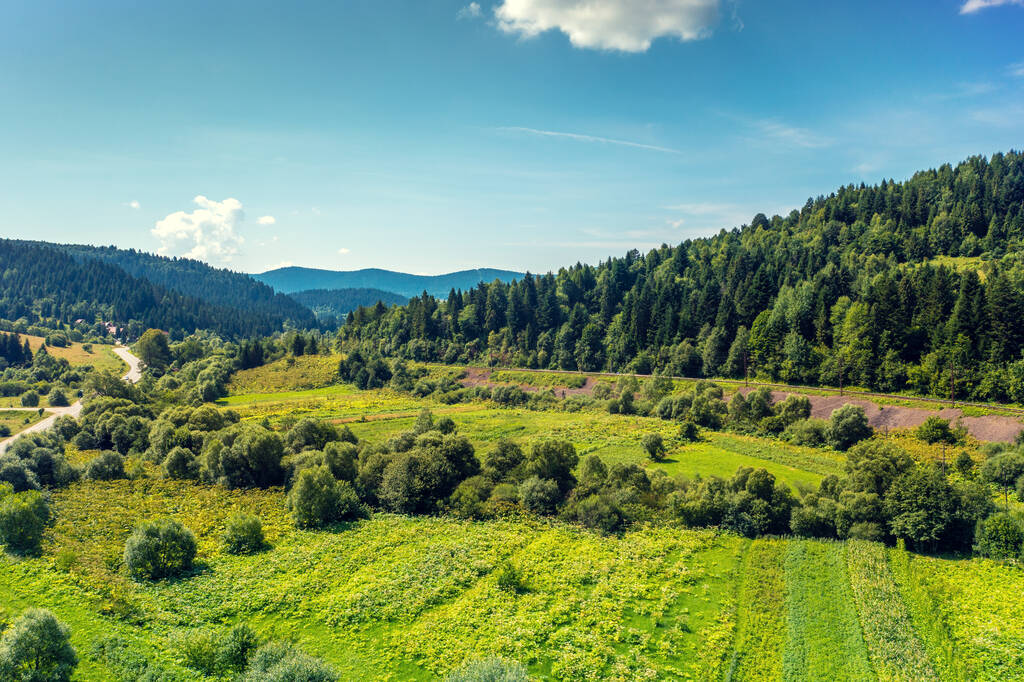 View of the meadow on the slope of the mountain on a summer sunny day - Photo, Image
