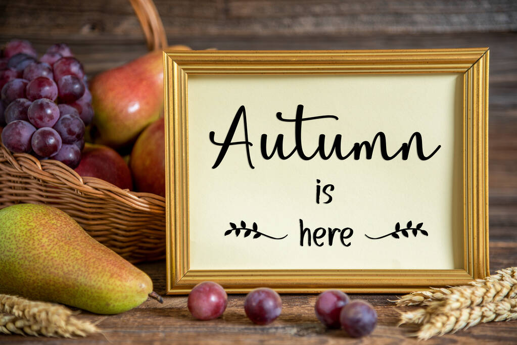Осінь прикраси з грушами, яблуками і виноградом, день подяки фон, осінній сезон і текст осінь тут - Фото, зображення