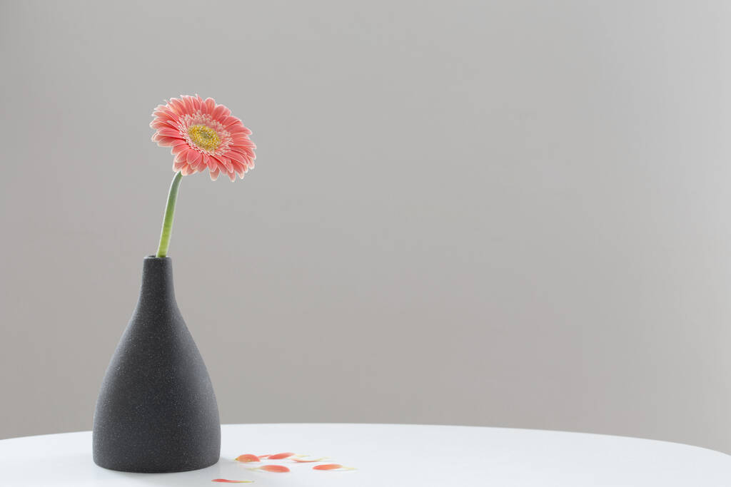 gerbero rosa in vaso grigio su tavolo bianco su sfondo parete grigia - Foto, immagini