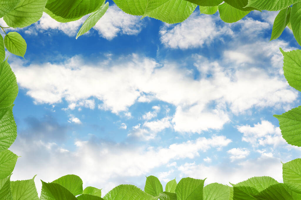 Beautiful blue sky with clouds, view through vibrant green leaves - Photo, Image