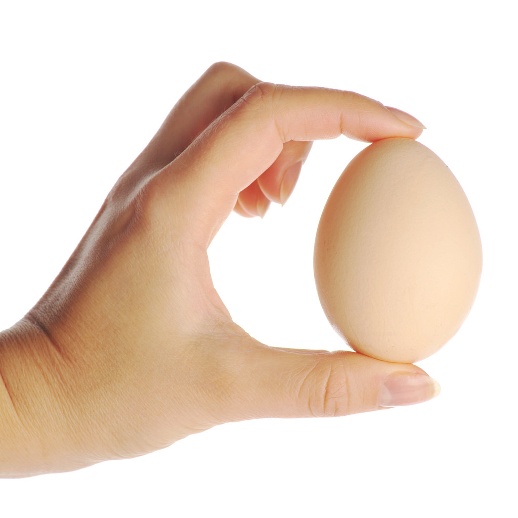 Рука холдингу яйце
 - Фото, зображення