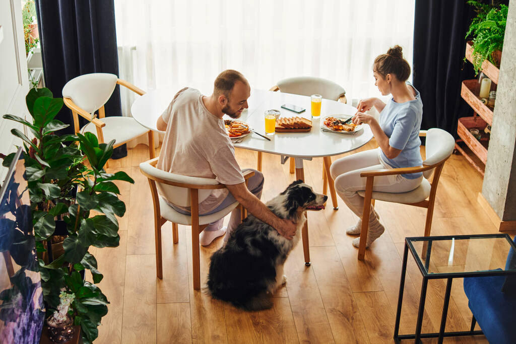 Alto ângulo vista de homem sorridente carinhoso fronteira collie enquanto tomando café da manhã com a namorada em casa - Foto, Imagem