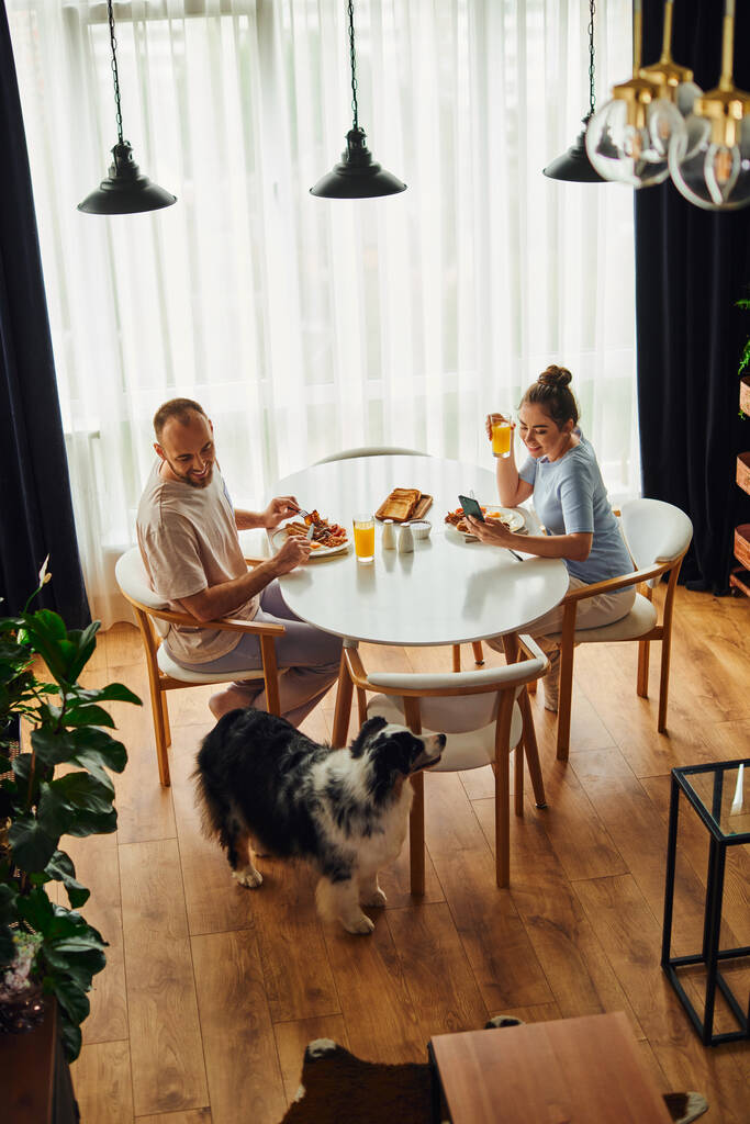 Nagy látószögű kilátás vidám pár reggelizik narancslével mellett border collie otthon - Fotó, kép