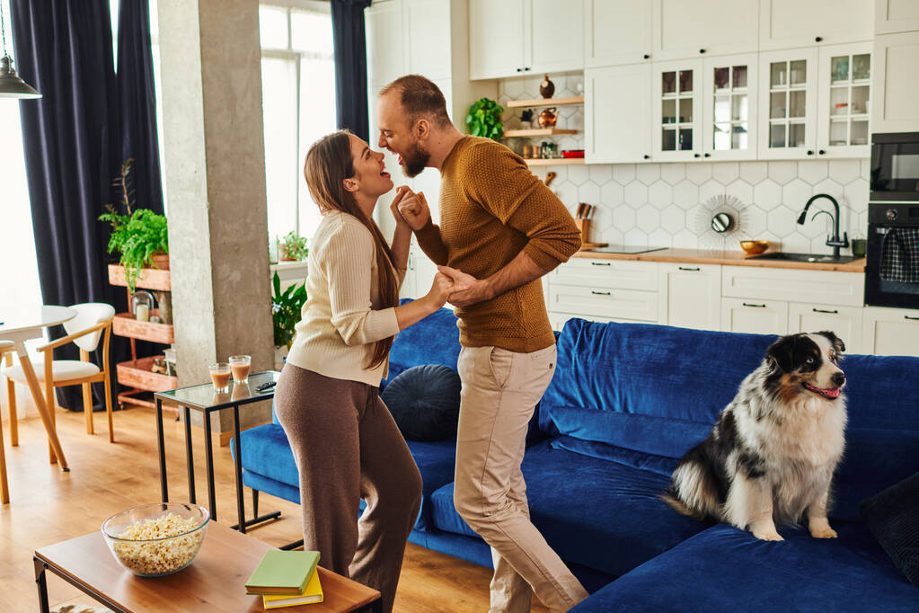 Smiling couple holding hands and dancing near border collie on couch in living room at home - Photo, Image