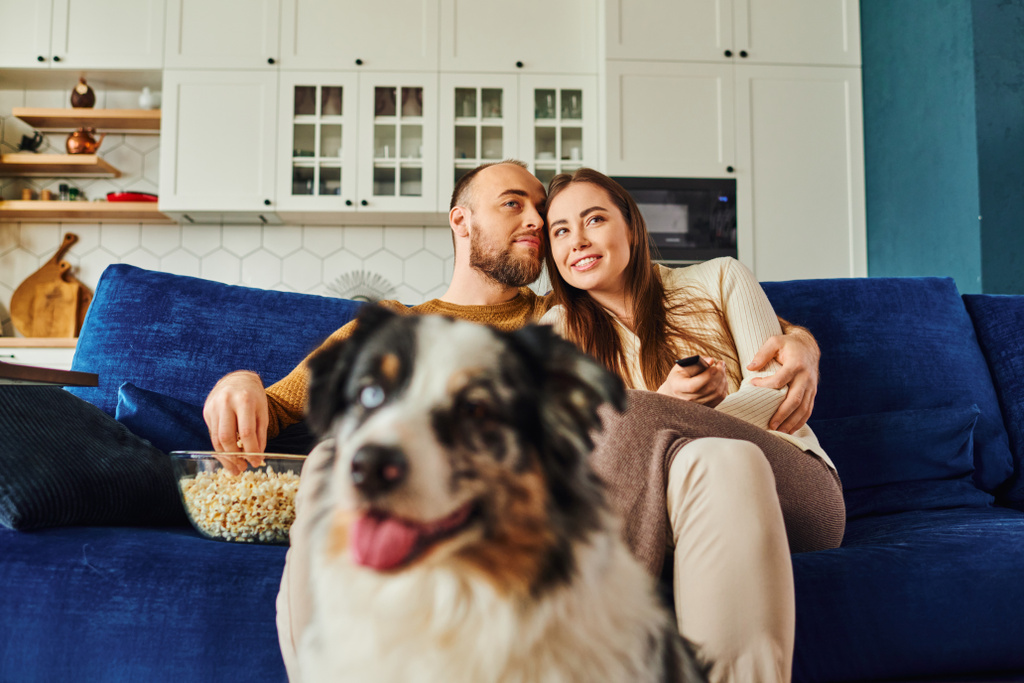 Lächelndes Paar schaut sich Film mit Popcorn an, während es zu Hause auf der Couch in der Nähe des verschwommenen Border Collie sitzt - Foto, Bild