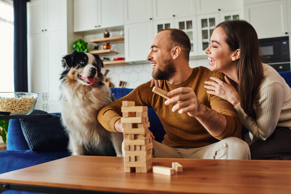 Uśmiechnięta para patrząc na psa collie granicy podczas gry bloki drewna gry na kanapie w domu - Zdjęcie, obraz