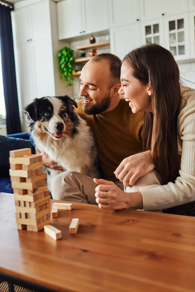 Laughing couple petting border collie while playing wood blocks game on coffee table in living room - Photo, Image