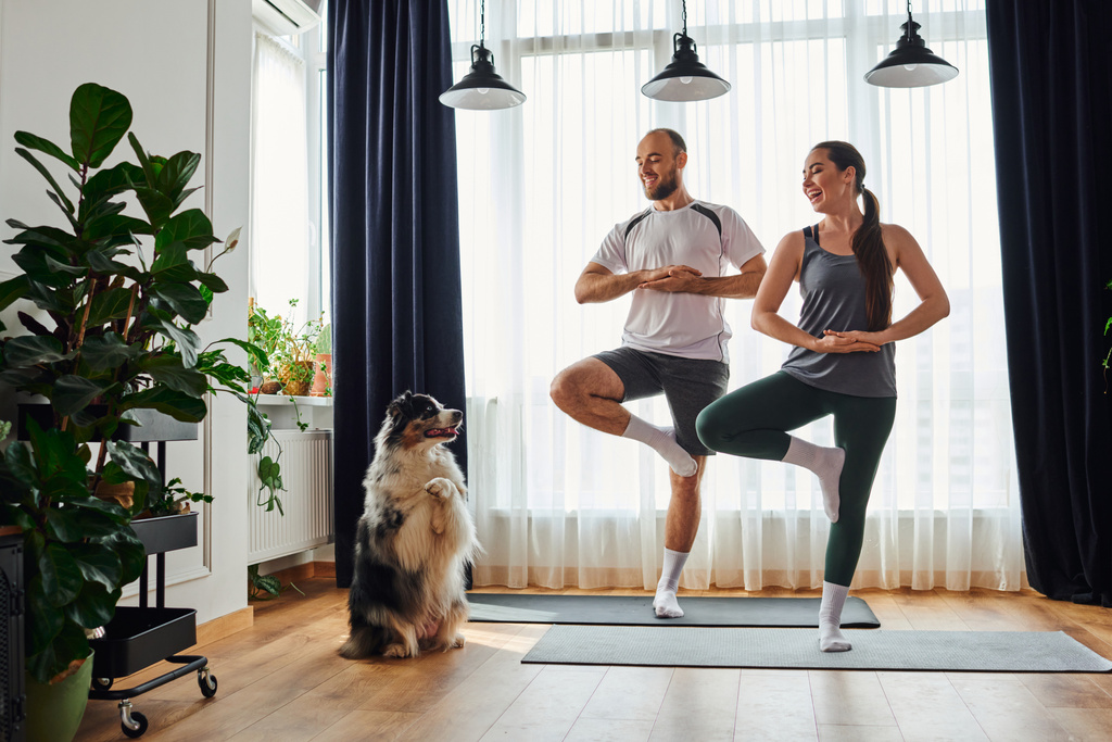 Cheerful couple standing in yoga pose on fitness mats and looking at border collie at home - Photo, Image