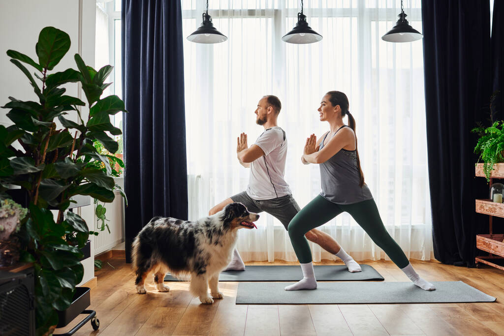 Vista lateral do casal sorridente em pé na pose de ioga em tapetes de fitness perto de border collie em casa - Foto, Imagem