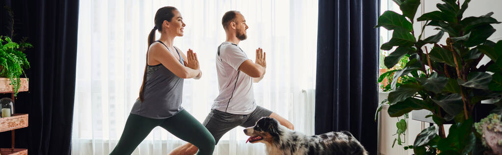 Vista lateral de la pose de yoga en pareja durante el ejercicio cerca de border collie en casa, pancarta - Foto, Imagen