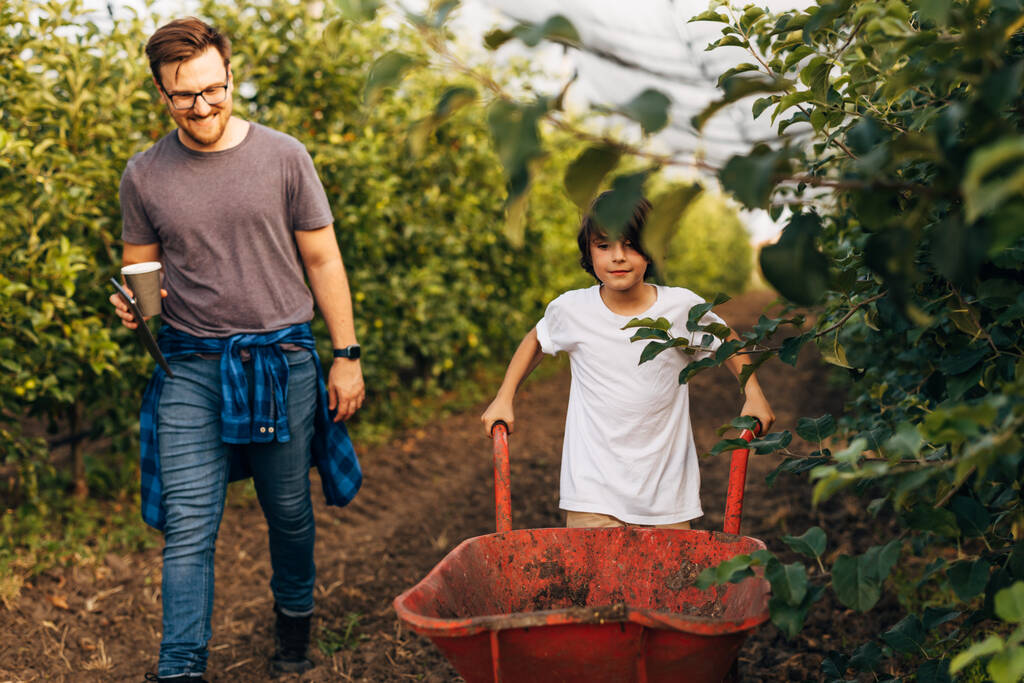 Хлопчик штовхає візок з фруктовою плантацією, а батько йде поруч з ним. - Фото, зображення