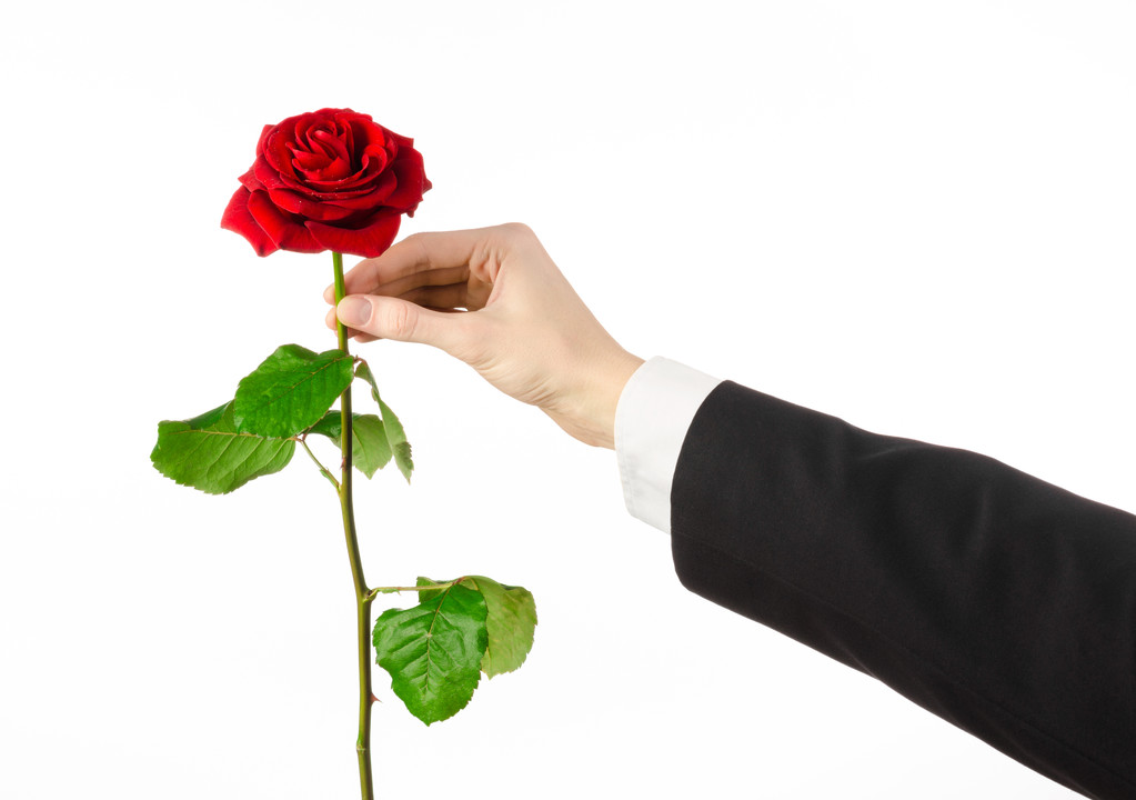 Walentynki i Women's Day motywy: ręka mężczyzny w garniturze gospodarstwa czerwoną różę na białym tle na białym tle w studio - Zdjęcie, obraz