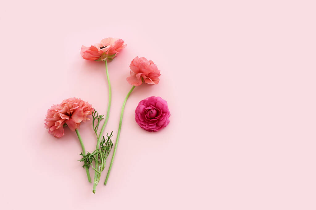 Bovenaanzicht afbeelding van roze bloemen compositie over pastel achtergrond - Foto, afbeelding