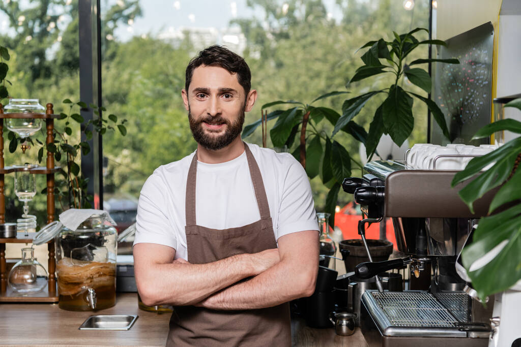 positive bearded barista in apron crossing arms and looking at camera while working in coffee shop - Photo, Image