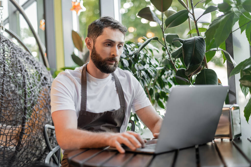 barista w fartuchu za pomocą laptopa podczas siedzenia w pobliżu roślin i pracy w kawiarni - Zdjęcie, obraz