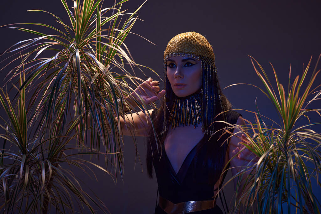 Elegantní žena v egyptské vzhled a čelenka v blízkosti pouštní rostliny na hnědém pozadí s modrým světlem - Fotografie, Obrázek